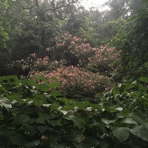 Meet your Posher, Kaitlyn